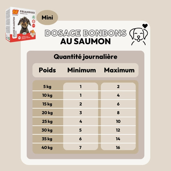 Bonbons au saumon peau et pelage pour chien