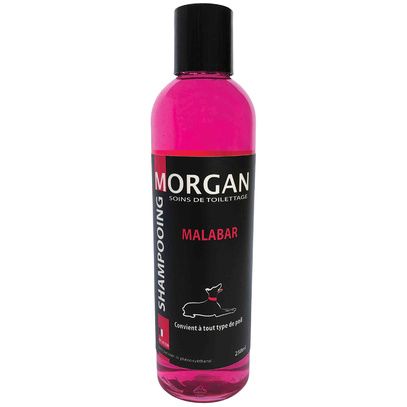Shampoing protéiné senteur malabar