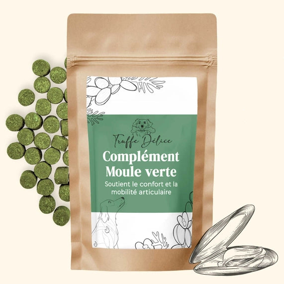 Moule verte chien