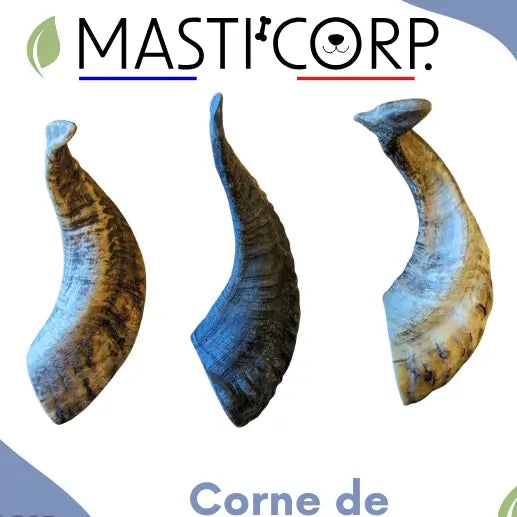 Corne de Mouton - Mastication Naturelle Chien