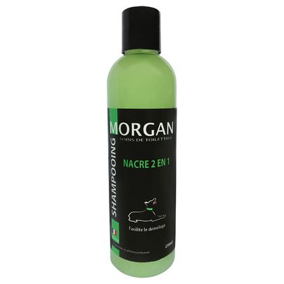 Shampooing protéiné nacre 2 en 1