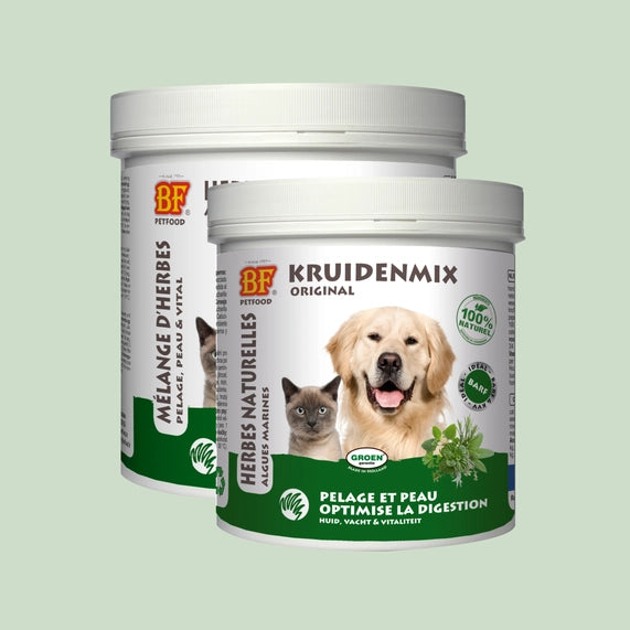 Herbes naturelles digestion pour chien et chat