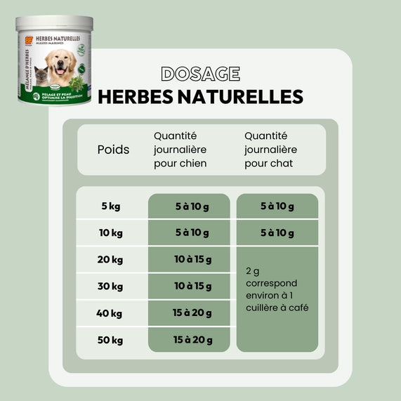 Herbes naturelles digestion pour chien et chat