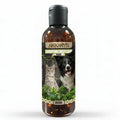 Shampoing Micellaire Poire