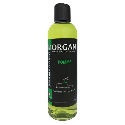 Shampoing protéiné pomme