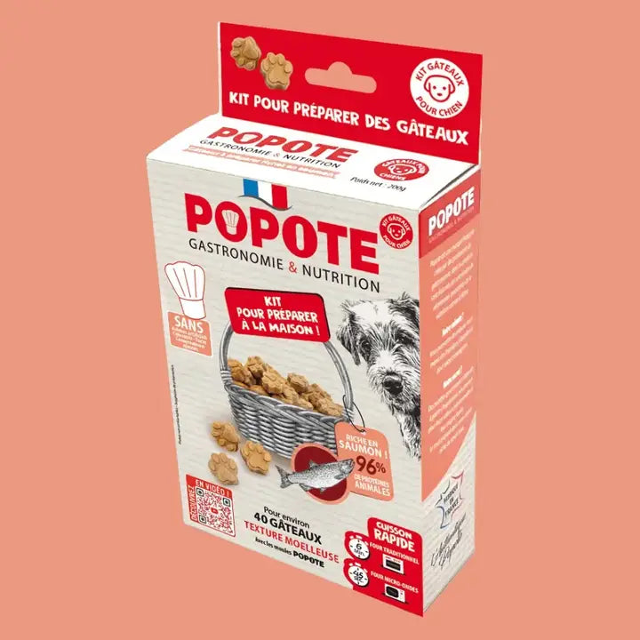 Recette au saumon