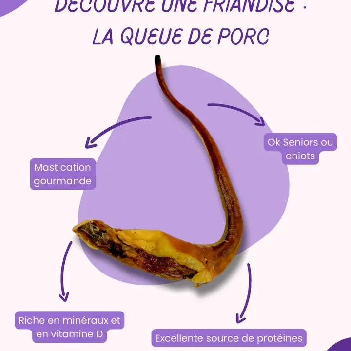 Queue de porc