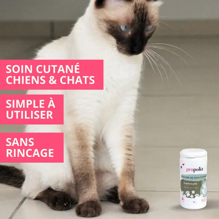 Poudre de soin cutanée pour chien et chat