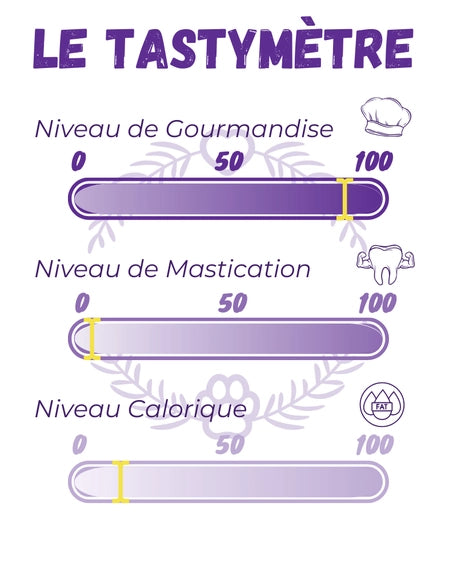 Filet de Poulet Naturel