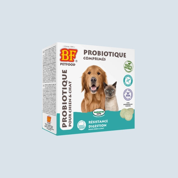 Probiotique comprimés pour chien et chat