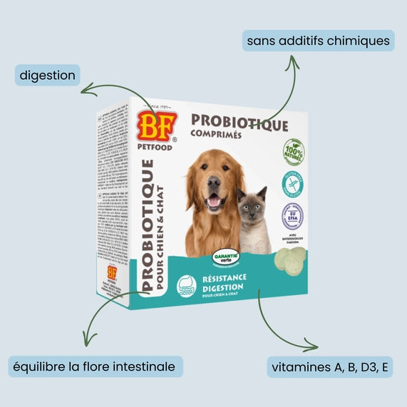 Probiotique comprimés pour chien et chat