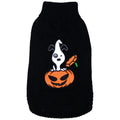 Pull Halloween pour chien