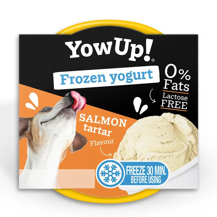 yogourt et à la crème glacée