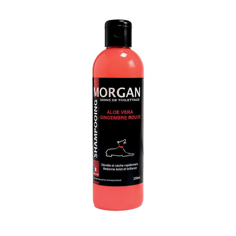 Shampoing Aloe Vera & Gingembre rouge