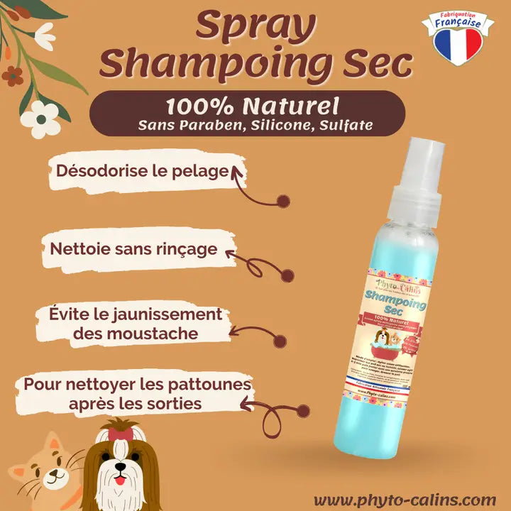 Shampoing Sans Rinçage / Lotion Désodorisante 100% Naturel