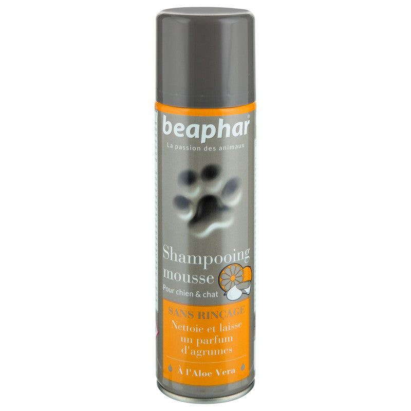 Shampoing mousse sans rinçage