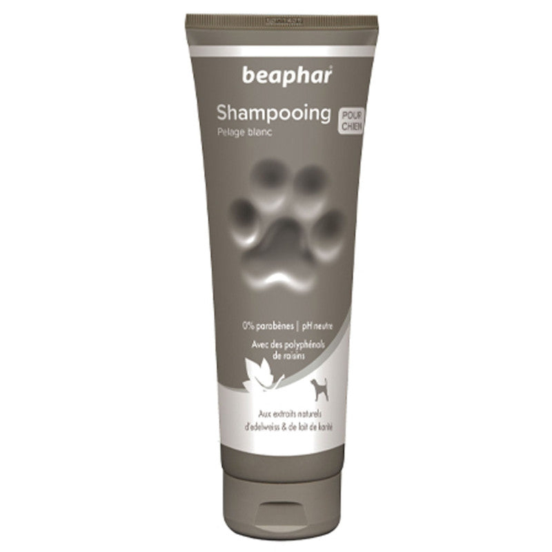 Shampooing Premium Beaphar pelage blanc