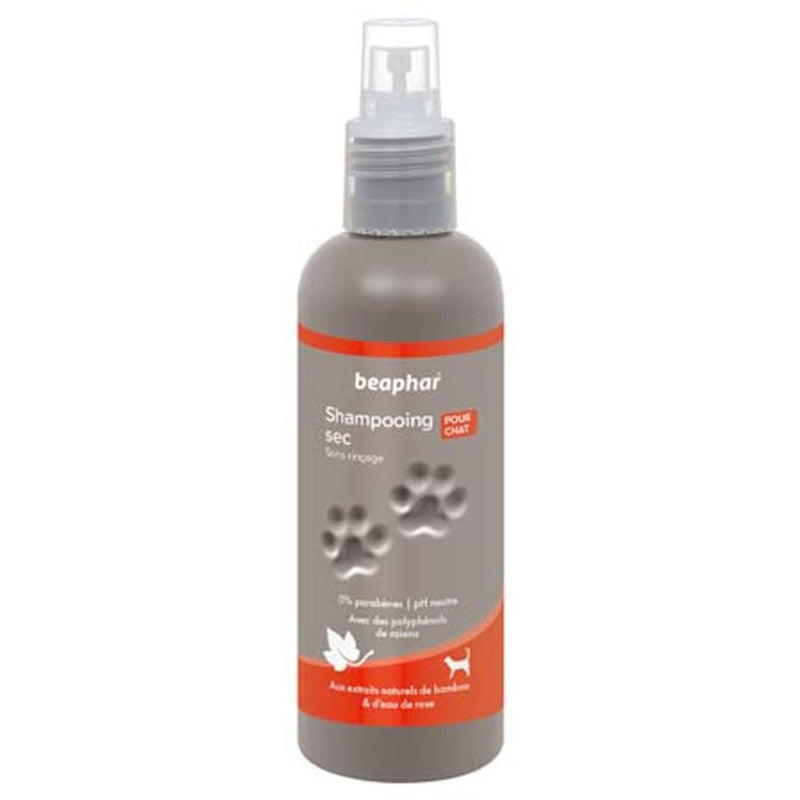 Shampoing sec Premium
