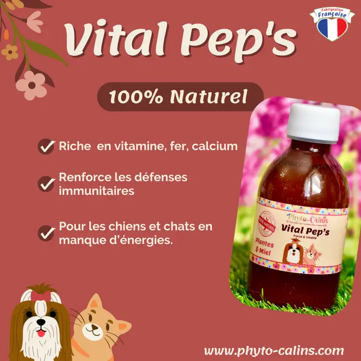 Renforce les défenses immunitaire / Sirop 100% phytothérapie