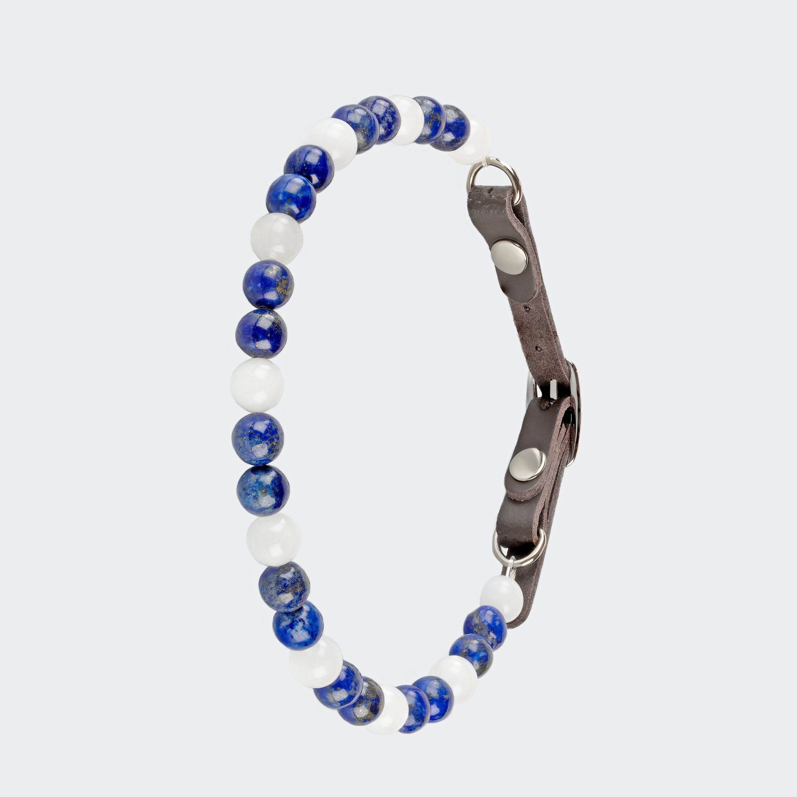 Collier pour chien désobéissant ou peu sociable