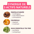 Soins des oreilles pour chien et chat