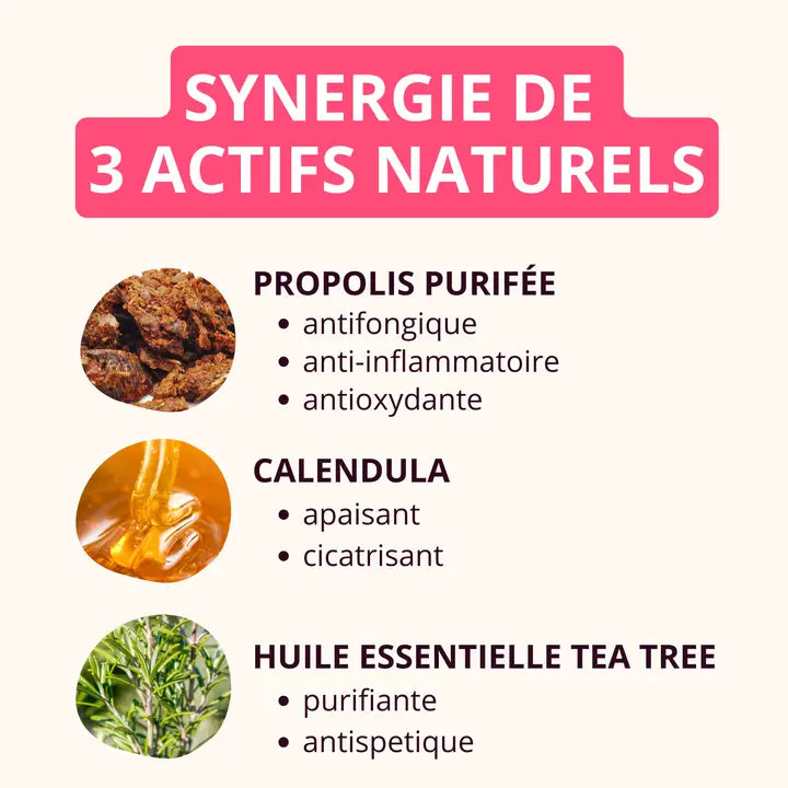 Soins des oreilles pour chien et chat