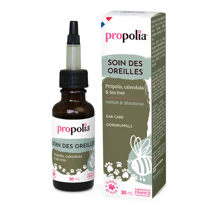Soins des oreilles pour chien et chat