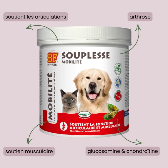 Herbes Souplesse articulaire pour chien et chat