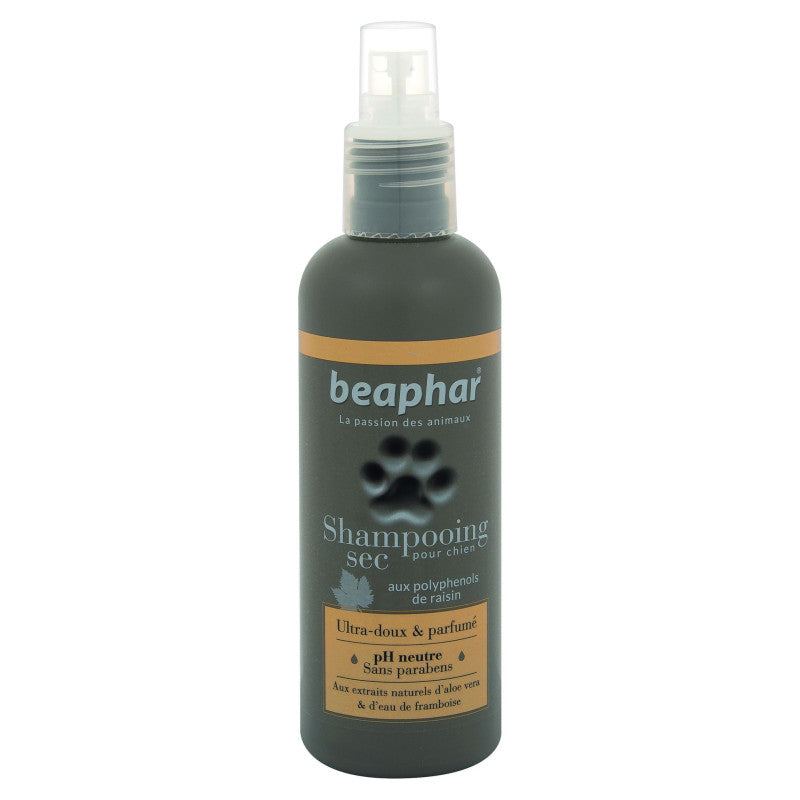 Spray shampoing sec chien