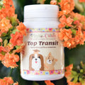Troubles Intestinaux / Charbon Végétale & Propolis
