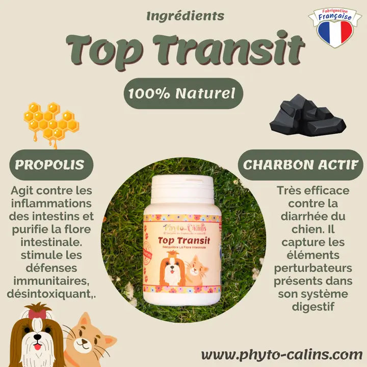 Troubles Intestinaux / Charbon Végétale & Propolis