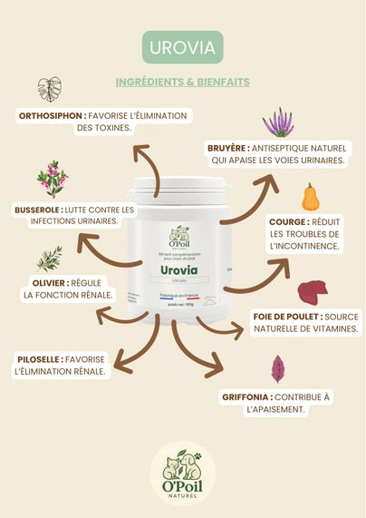 Urovia