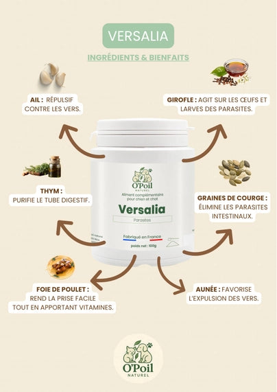 Versalia