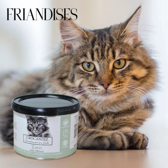 Friandises Relaxantes pour chat